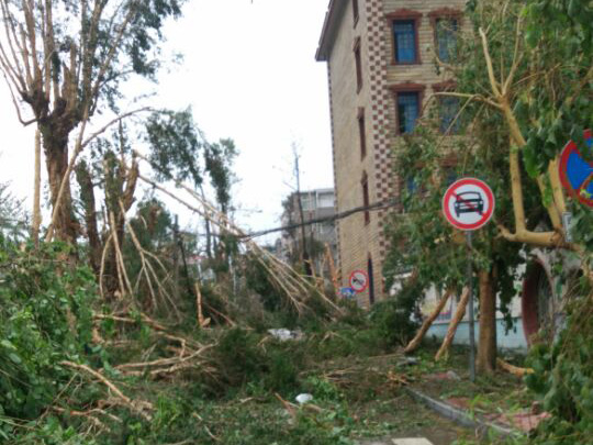 莫蘭蒂臺(tái)風(fēng)過(guò)后的龍舟池_集美龍舟池