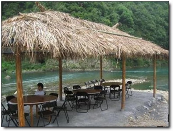 宋友紅農(nóng)莊_武夷山宋友紅農(nóng)莊_宋友紅農(nóng)莊