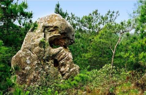 筆猴_美翻了！翔安這香山50畝花海綻放，小伙伴們約起來！