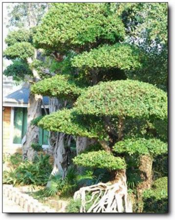 南安金霞生態(tài)農莊 (3)_金霞生態(tài)農莊_南安金霞生態(tài)農莊_金霞生態(tài)農莊