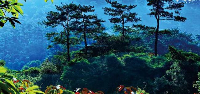 長(zhǎng)泰小黃山 (6)_長(zhǎng)泰小黃山