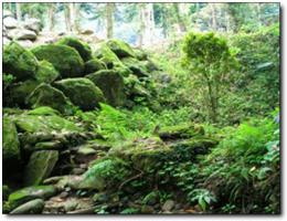 龍海大帽山休閑農(nóng)場 (5)_龍海大帽山休閑農(nóng)場