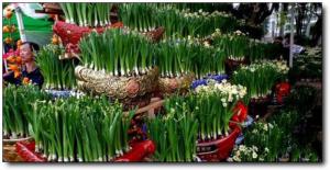 龍?；ㄊ幸粭l街 (3)_漳州花市一條街_龍海花市一條街(福建漳州)_花市一條街