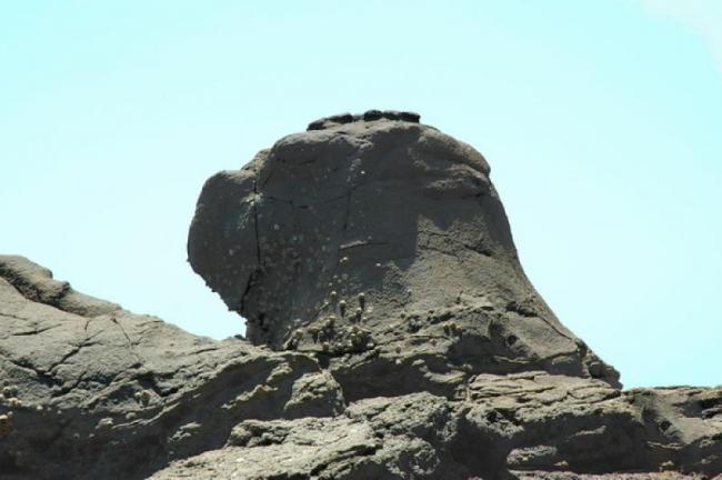 漳浦林進(jìn)嶼 (6)_漳浦林進(jìn)嶼