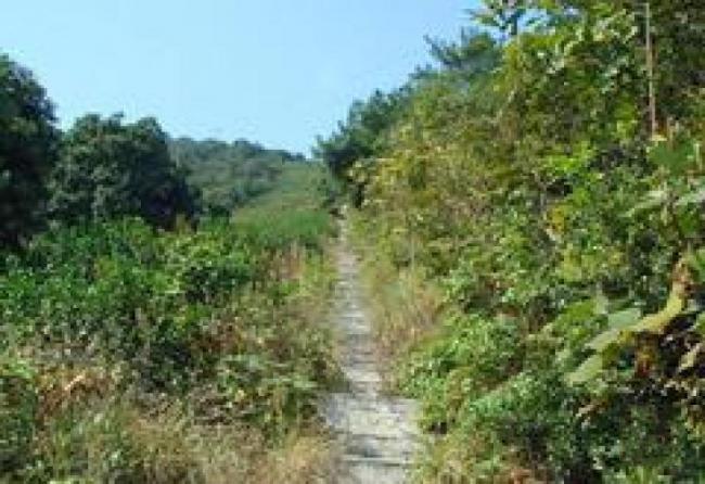 長(zhǎng)樂南陽山 (2)_長(zhǎng)樂南陽山