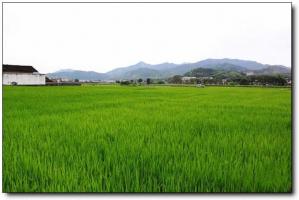 上杭古田會(huì)議會(huì)址 (1)_上杭古田會(huì)議會(huì)址