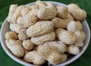 龍巖花生 福建龍巖濕烤花生500g 濕烤型原味花生