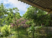 逛鷺島最新推薦極致靜謐的農場露營