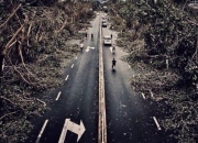 廈門曾經遭遇過的臺風