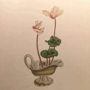 生活美學(xué)——日式插花