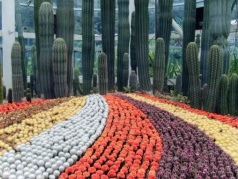 萬石植物園游園攝影會