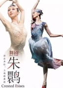 「75折優惠」《梔子花開》、《夜鶯與玫瑰》、《朱鹮》