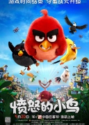 憤怒的小鳥(niǎo)