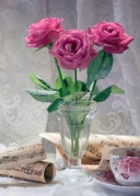 邀請(qǐng)持證心理咨詢師免費(fèi)上的NLP心理實(shí)操課