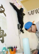 《藏家的美夢(mèng)》廈門站在不愿去藝文空間