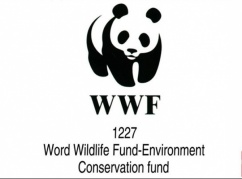 【嗨翻暑假】中國(guó)最有趣工作—熊貓觀察員5日之旅再度來(lái)襲！