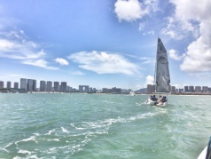 五緣灣帆船出海特惠季，擁抱大海，艷遇白海豚