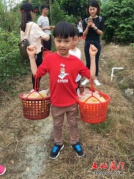 [每周末]云霄內洞村+楊桃采摘+金湯灣泡溫泉一日游