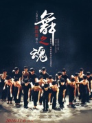 2016廈門嘉庚劇院舞蹈演出季愛爾蘭踢踏舞世界風情舞劇《舞之魂》廈門站