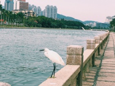 遇見另一個(gè)自己·紅璞圣誕戶外交友趴