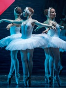 俄羅斯國(guó)家明星芭蕾舞團(tuán)《天鵝湖》