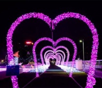 周末觀音山水世界燈光節(jié)，超級(jí)漂亮