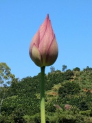 繩武樓+工藝扎染/糍粑DIY+林語堂+花溪溫泉+土菜采摘二日互動