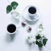 First1---photoshop零基礎(chǔ)