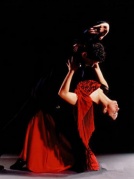 西班牙塞維利亞經典弗拉門戈舞劇《卡門》廈門站