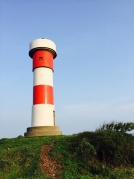 5月20日楊梅采摘+風情田頭鄉+鎮海角小清新游