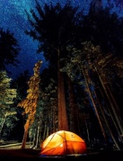 兩天一夜星空露營趴（森林晚宴、露天影院、戶外娛樂項目）