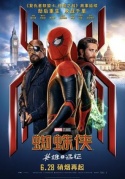 蜘蛛俠：英雄遠(yuǎn)征Spider-ManFarfromHome