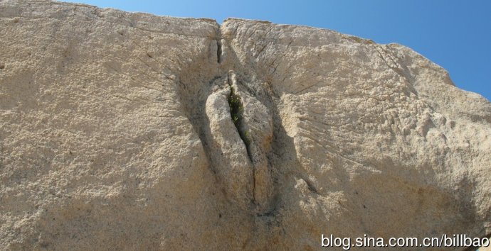 201705201495258317674327.jpg clip_image017.jpg