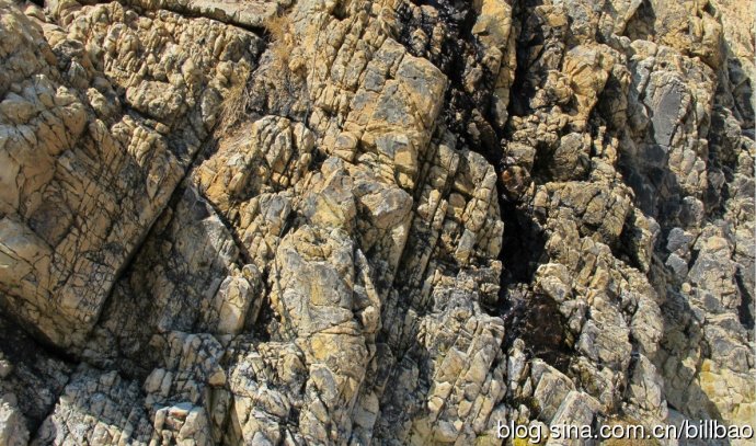 201705201495258338385999.jpg clip_image019.jpg