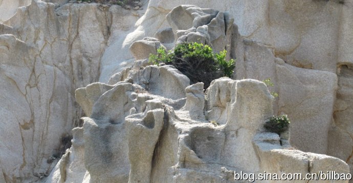 201705201495258348930405.jpg clip_image020.jpg